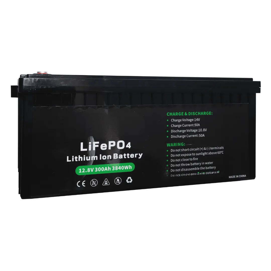 rakour battery 12v lithium battery